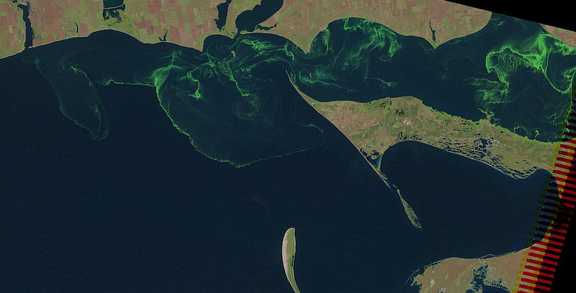Blue�Green algae bloom manifestation in optical data of ETM+