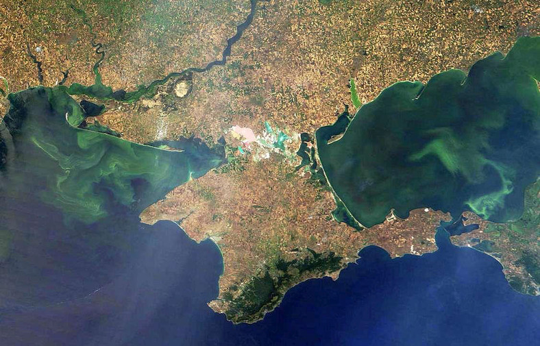 Jul 25 2009 Blue�green algae bloom