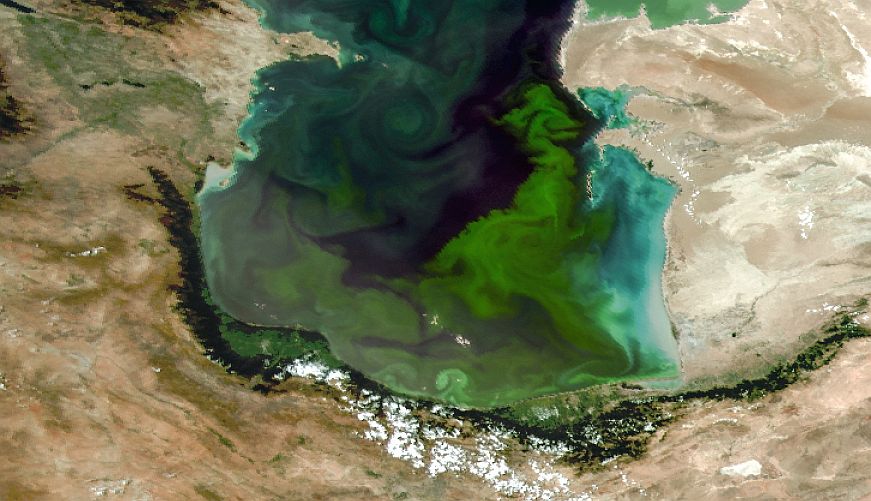 SeaWIFS image 25.07.2001