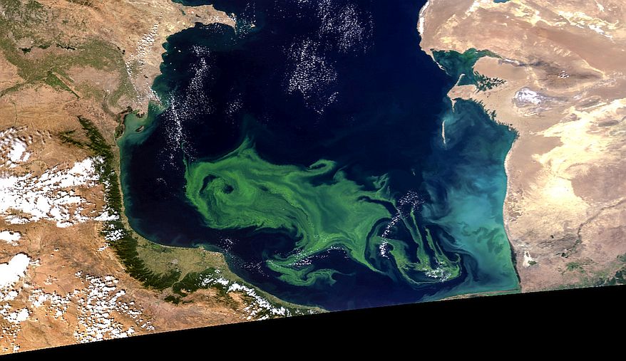 Modis Aqua image 01.09.2005