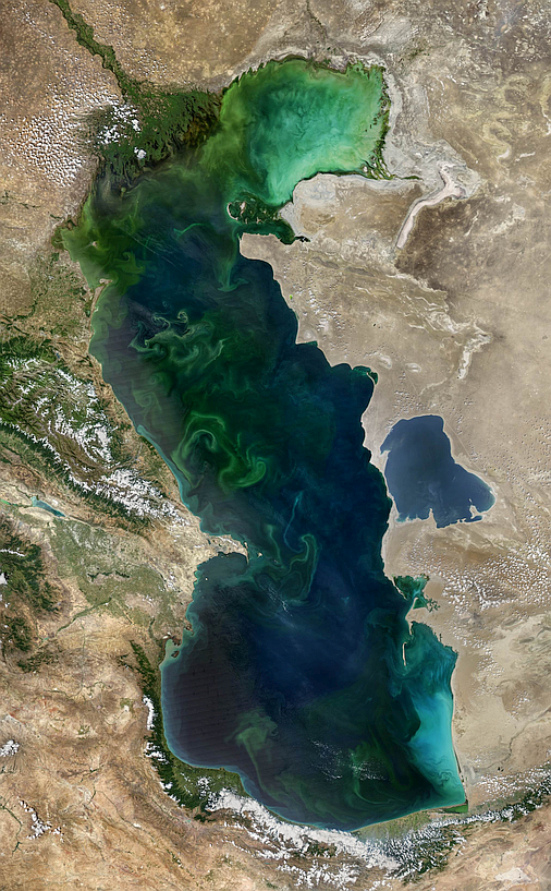 Modis Aqua image 03.08.2017
