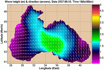 Wave height & direction